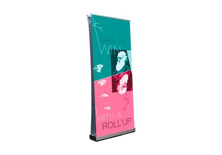 rollup-design-duo